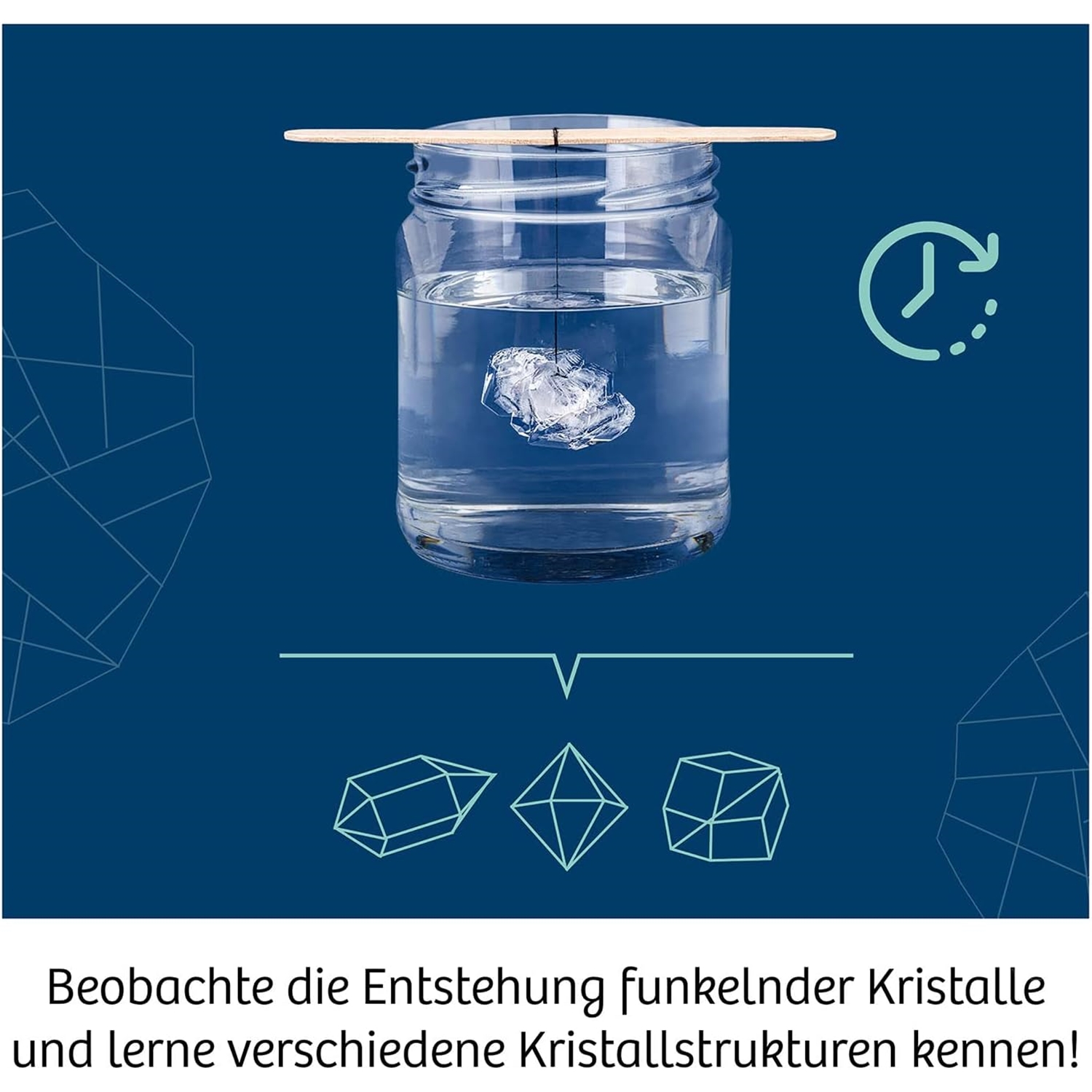 Kosmos 645601 Kristalle züchten
